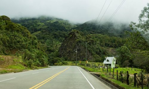 WAYANAD TOURS & TRAVELS | TAXI SERVICES | FLY ANGEL WAYANAD TOURS & TRAVELS | TAXI SERVICES | FLY ANGEL